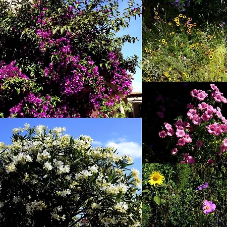 Maison De Les 2 Dauphins *