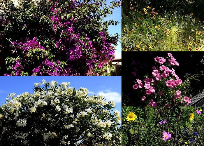 Maison De Les 2 Dauphins *